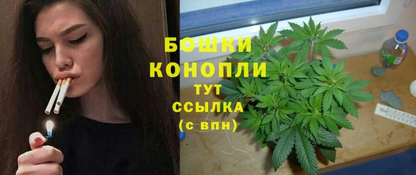 ПСИЛОЦИБИНОВЫЕ ГРИБЫ Лиски