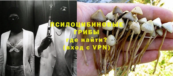 ПСИЛОЦИБИНОВЫЕ ГРИБЫ Лиски