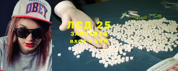 ПСИЛОЦИБИНОВЫЕ ГРИБЫ Лиски